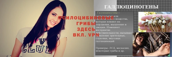 jwh Алзамай